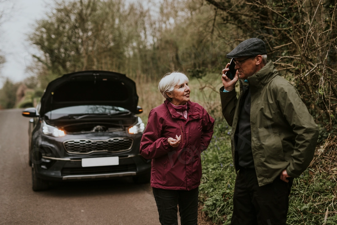 Looking for affordable car insurance. Alamo Insurance has your back!